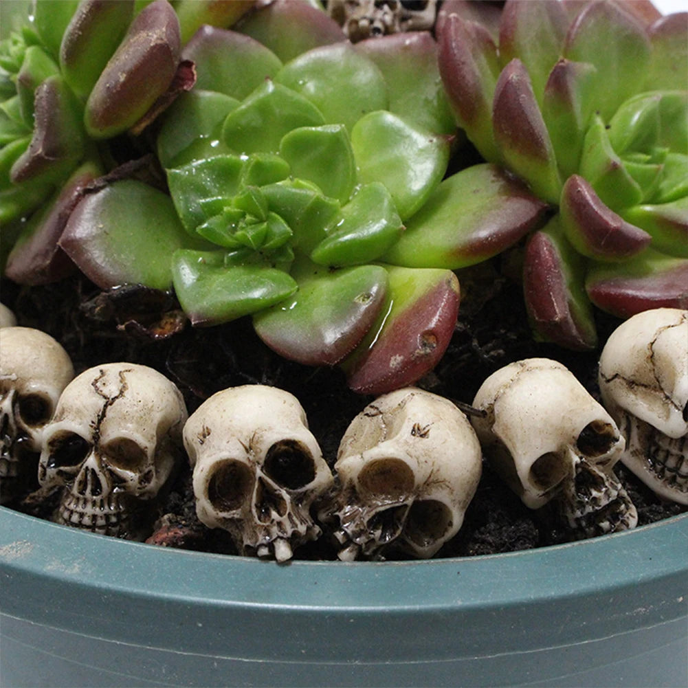 Tiny Skulls, Big Spooky Vibes 👻