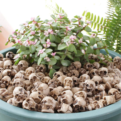 Tiny Skulls, Big Spooky Vibes 👻